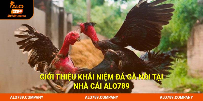 Đá Gà Nòi Alo789 - Hấp Dẫn Kịch Tính, Kèo Cược Xanh Chín 1 Giới thiệu khái niệm đá gà nòi tại nhà cái Alo789