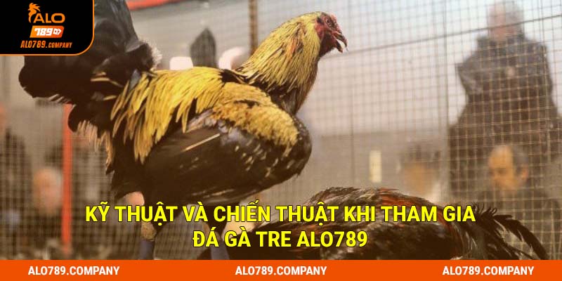 Kỹ thuật và chiến thuật khi tham gia đá gà tre Alo789