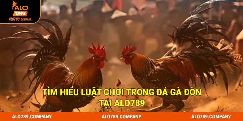 Đá Gà Đòn Siêu phẩm cá cược trực tuyến đẳng cấp tại Alo789 2 Tìm hiểu luật chơi trong Đá gà đòn tại Alo789